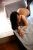 Sarıyer Seksi Escort Bayan Okşan - Image 2
