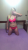 Başakşehir Seksi Escort Bayan Cansın - Image 1